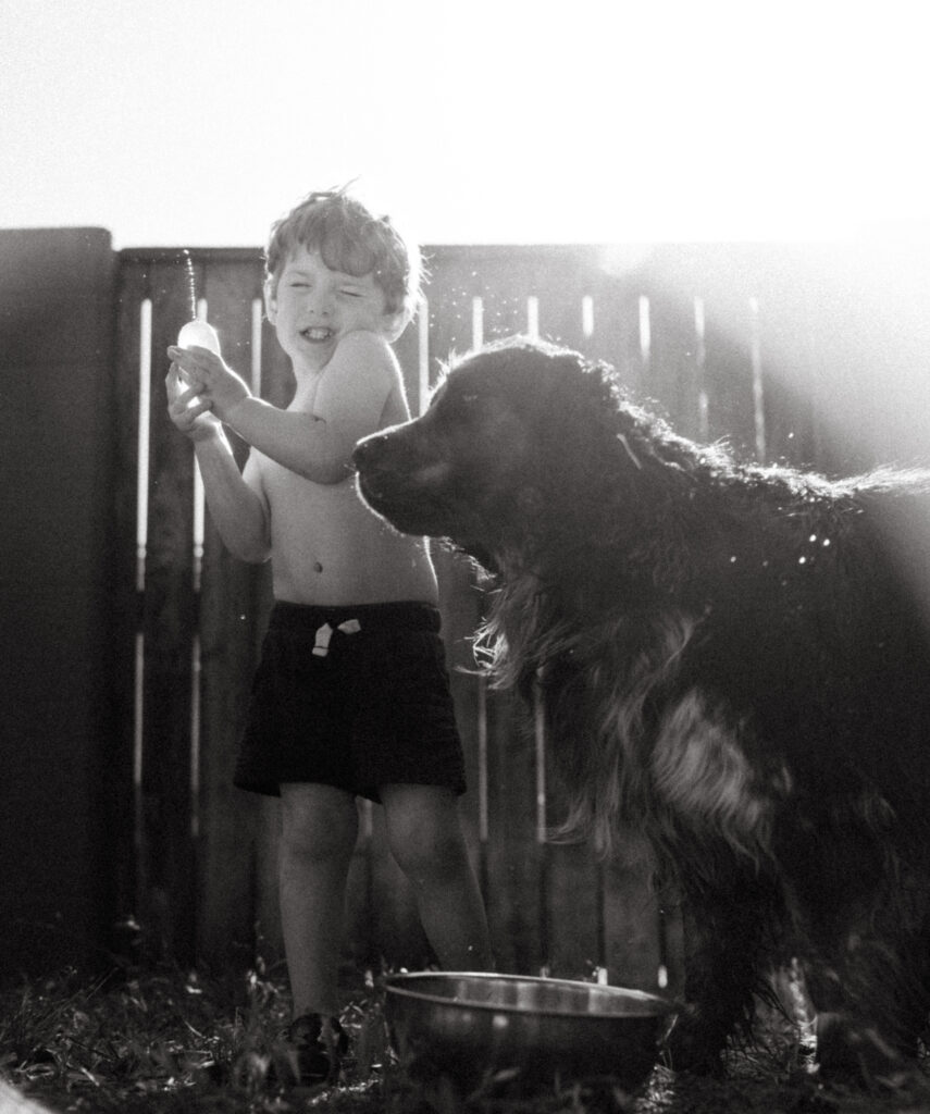 Toddler boy holding a water balloon and being pushed by his excited dog. 