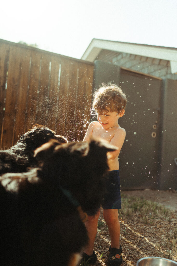 Boy popping a water balloon in his excited dogs' faces. 